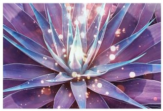 Divine Frequency